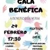 Gala Benéfica a beneficio de Yerai