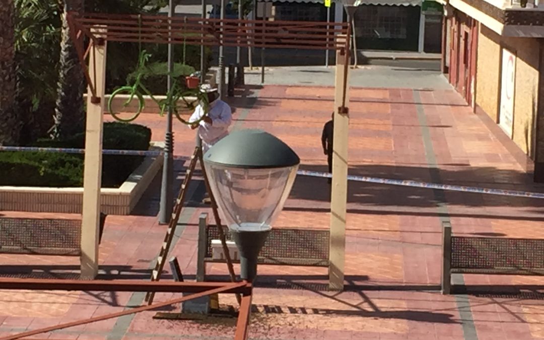 Retiran un enjambre de abejas frente al Ayuntamiento de Rafal