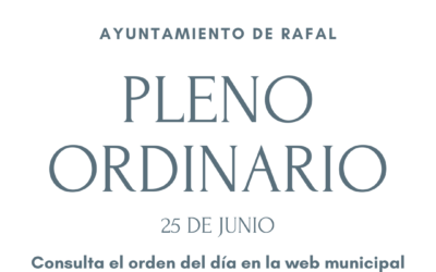 Pleno Ordinario 25 de junio de 2026