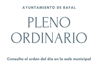 Pleno Ordinario 27 de julio